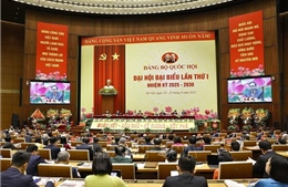 Tiến tới Đại hội XIV của Đảng: Đại hội đại biểu Đảng bộ Quốc hội lần thứ I