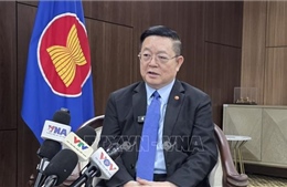 Tổng Thư ký ASEAN: Ứng phó tự cường là chìa khóa phát triển của ASEAN