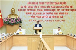 Thủ tướng chủ trì Hội nghị trực tuyến toàn quốc về chống buôn lậu, sản xuất, buôn bán hàng giả