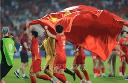 ASEAN Cup 2026: Việt Nam bảo vệ thành công ngôi vô địch