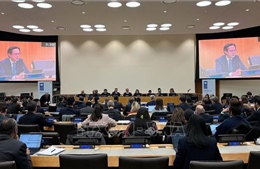 Việt Nam đánh giá cao vai trò của UNDP trong hợp tác vì phát triển bền vững