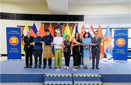 Áo coi trọng quan hệ hợp tác nhiều mặt với ASEAN