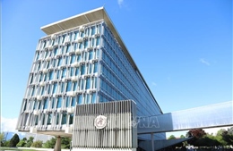 WHO định vị y học cổ truyền như một trụ cột của y tế toàn cầu