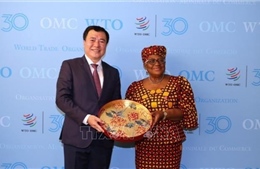 Việt Nam ủng hộ tiến trình cải cách WTO