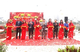 Hoàn thiện giai đoạn 1 công trình cải tạo Ao cá Bác Hồ tại phường Vĩnh Tuy (Hà Nội)