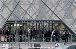 Vụ trộm tại Bảo tàng Louvre: Giám đốc bảo tàng thừa nhận sai sót an ninh