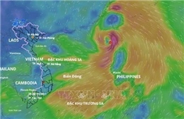 Ninh Bình khẩn trương thành lập Ban Chỉ huy Phòng thủ dân sự ứng phó bão số 3