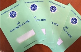 Đề nghị thanh, kiểm tra hơn 2.000 doanh nghiệp cố tình chậm đóng bảo hiểm