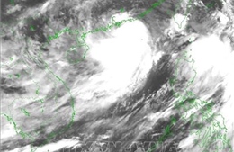 Ngành than chủ động các phương án ứng phó với bão số 3 (bão WIPHA)