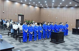 Cựu Thứ trưởng Nguyễn Bá Hoan bị phạt 12 năm tù