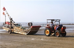 Hành trình đưa nước mắm quê hương trở thành OCOP 3 sao