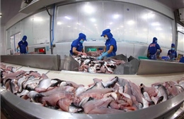 Cảnh báo sớm bảo vệ hàng xuất khẩu