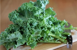 Vai trò của rau họ Cải trong xử lý kim loại nặng trong đất