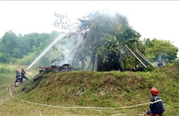 Cây đa hơn 200 năm tuổi ở Quảng Ngãi bị lửa thiêu rụi