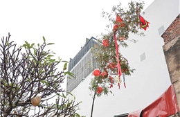 Độc đáo Lễ dựng cây nêu giữa lòng phố cổ Hà Nội