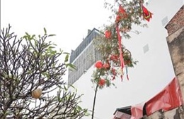 Độc đáo Lễ dựng cây nêu giữa lòng phố cổ Hà Nội