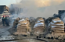 Cháy nhà xưởng mùn cưa, 3 người bị thương tại TP Hồ Chí Minh