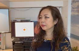 Chuyên gia Canada: Hoàn thiện thể chế để tạo lợi thế cạnh tranh cho Việt Nam