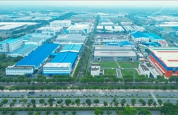 Nghị quyết 10-NQ/TW và bước chuyển chiến lược tư duy - Bài 2