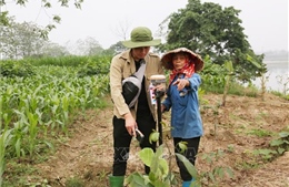 Yên Bái chuẩn bị cho dự án đường sắt Lào Cai - Hà Nội - Hải Phòng