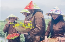 Thủ tướng yêu cầu tăng cường an ninh, an toàn trong hoạt động du lịch