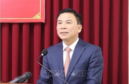 Bộ Chính trị, Ban Bí thư xem xét, thi hành kỷ luật tổ chức đảng, đảng viên vi phạm