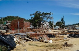 Hỗ trợ khẩn cấp 80 tỷ đồng cho 3 tỉnh Quảng Ngãi, Gia Lai, Đắk Lắk