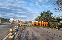 Khắc phục bão số 13: Gia Lai tập trung khôi phục về điện và giao thông