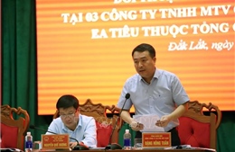 Đối thoại giải quyết khiếu nại tại 3 công ty cà phê lớn ở Đắk Lắk