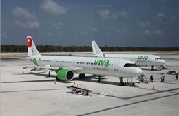 Ngành hàng không dự báo giá vé giảm mạnh