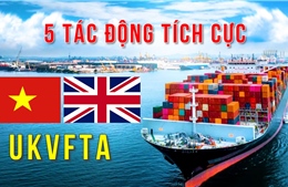 Thủ tướng chỉ định các bộ đầu mối triển khai thực hiện Hiệp định UKVFTA