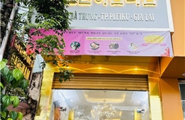 Xử phạt, đình chỉ hoạt động Thẩm mỹ viện quốc tế Gangnam