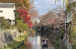 Phục hồi sinh thái - Bài 2: Ký ức một dòng kênh