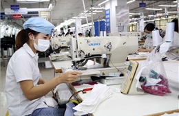 Hà Nội nhiều mặt hàng xuất khẩu tăng mạnh trong bối cảnh khó khăn