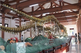 Hai bộ &#39;ngọc cốt&#39; cá Ông ở Lý Sơn vừa được Trao bằng xác lập Kỷ lục lớn nhất Việt Nam