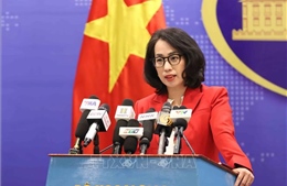 Việt Nam quan ngại sâu sắc về thông tin liên quan đến tình hình hiện nay ở Venezuela