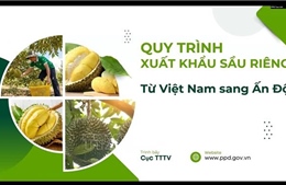 Việt Nam - Ấn Độ nỗ lực mở rộng dư địa thương mại nông sản