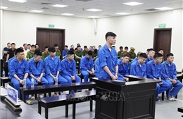 Phạt tù nhóm 'xã hội đen' lừa đảo, đánh bạc, buôn bán thận