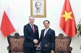 Phó Thủ tướng Chính phủ Bùi Thanh Sơn tiếp Phó Thủ tướng, Bộ trưởng Kỹ thuật số Ba Lan Krzysztof Gawkowski