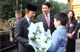 Lễ đón chính thức Quốc vương Brunei