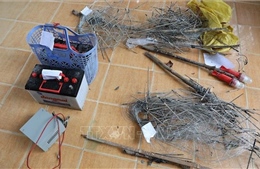 Tạm giữ hình sự hai đối tượng dùng điện bẫy chuột dẫn đến chết người