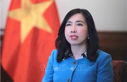 Gặp mặt các cơ quan đại diện ngoại giao và báo chí nước ngoài thường trú tại Việt Nam