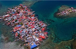 COP30: Cậu bé và chú chó lạc trên đảo chìm – thông điệp lặng thầm gửi tới hội nghị