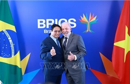Thủ tướng Phạm Minh Chính hội kiến Tổng thống Brazil Lula da Silva