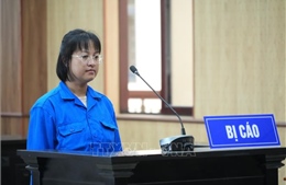 Tuyên án chung thân Tổng Giám đốc lừa đảo hơn 426 tỉ đồng