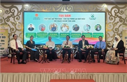 Vĩnh Long: Thích ứng chính sách thuế Hoa Kỳ, giải pháp xuất khẩu bền vững 