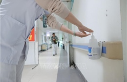 Giám sát chặt chẽ nguồn lây bệnh do virus Nipah ngay từ cửa khẩu, sân bay, cảng biển