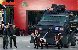 Ngắm những hình ảnh đầy uy lực, dũng mãnh của lực lượng Cảnh sát cơ động
