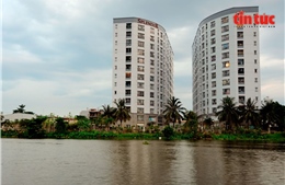 Thị trường bất động sản các tỉnh, thành khu vực phía Nam tăng tốc