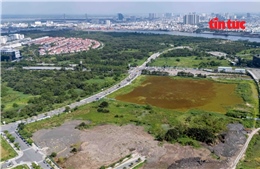 Làm gì khi người khác xây nhà &#39;nhầm&#39; trên đất của mình?